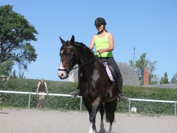 img_3169_web